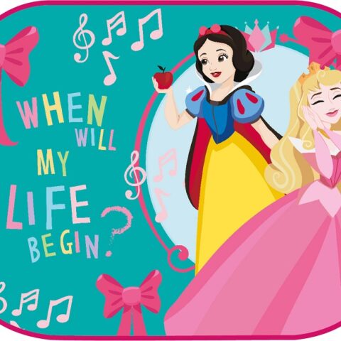 Amio - ΗΛΙΟΠΡΟΣΤΑΣΙΕΣ ΠΛΑΙΝΕΣ ΠΡΙΓΚΙΠΙΣΣΕΣ PRINCESSES​ ΜΕ ΒΕΝΤΟΥΖΑ 2TEM (44x35cm) (S9333/AM)
